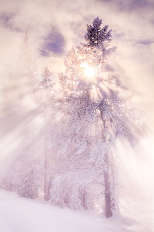 Sunbeams, Yellowstone National Park, Wyoming
