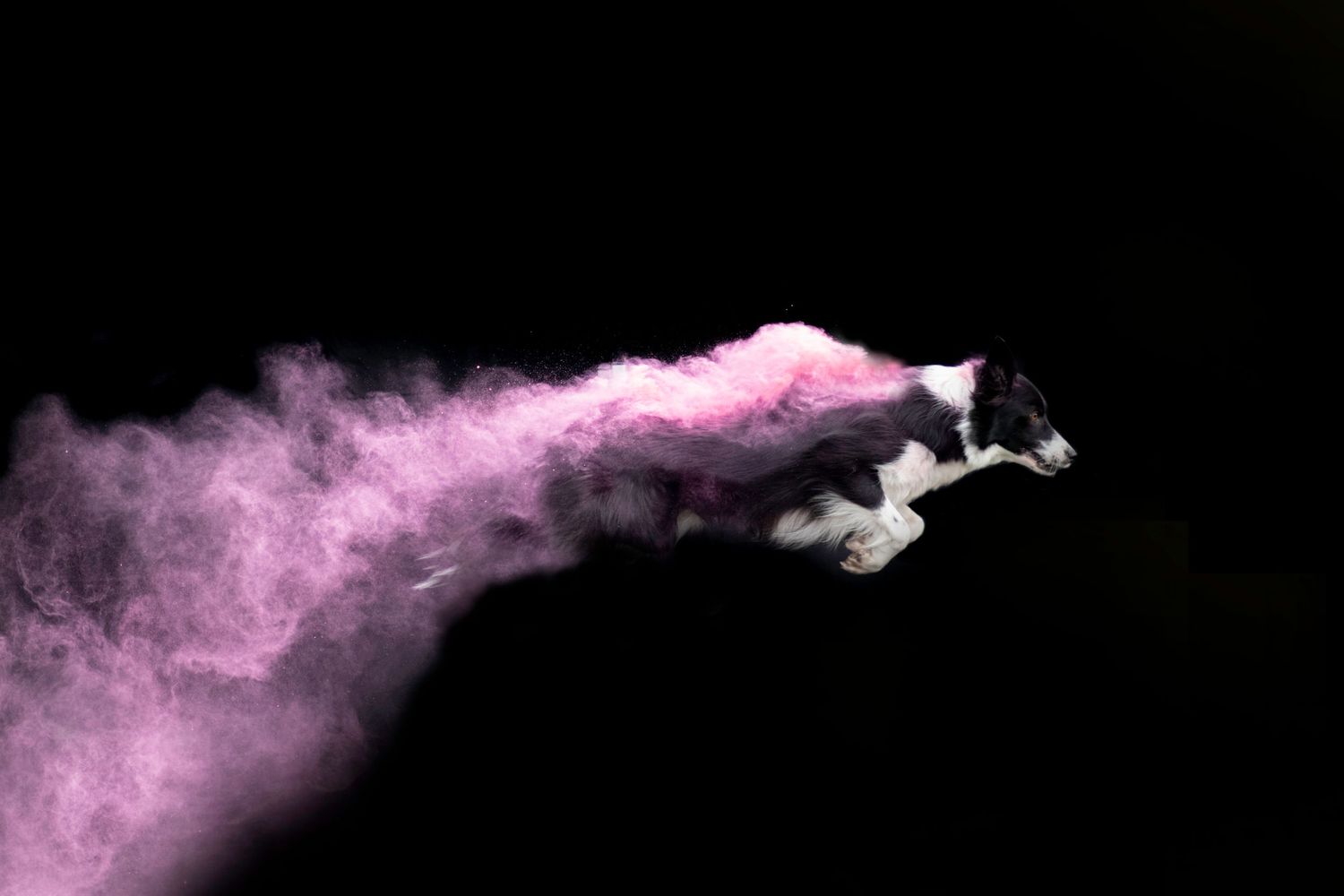 Color powder Shootings