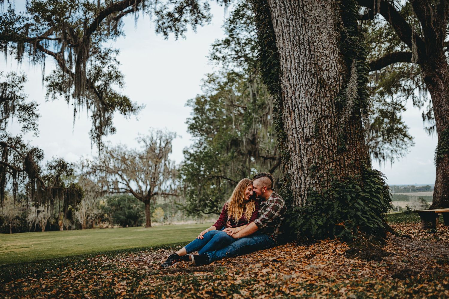 Scenic moment under a large oak tree draped with Spanish moss in a serene park setting.