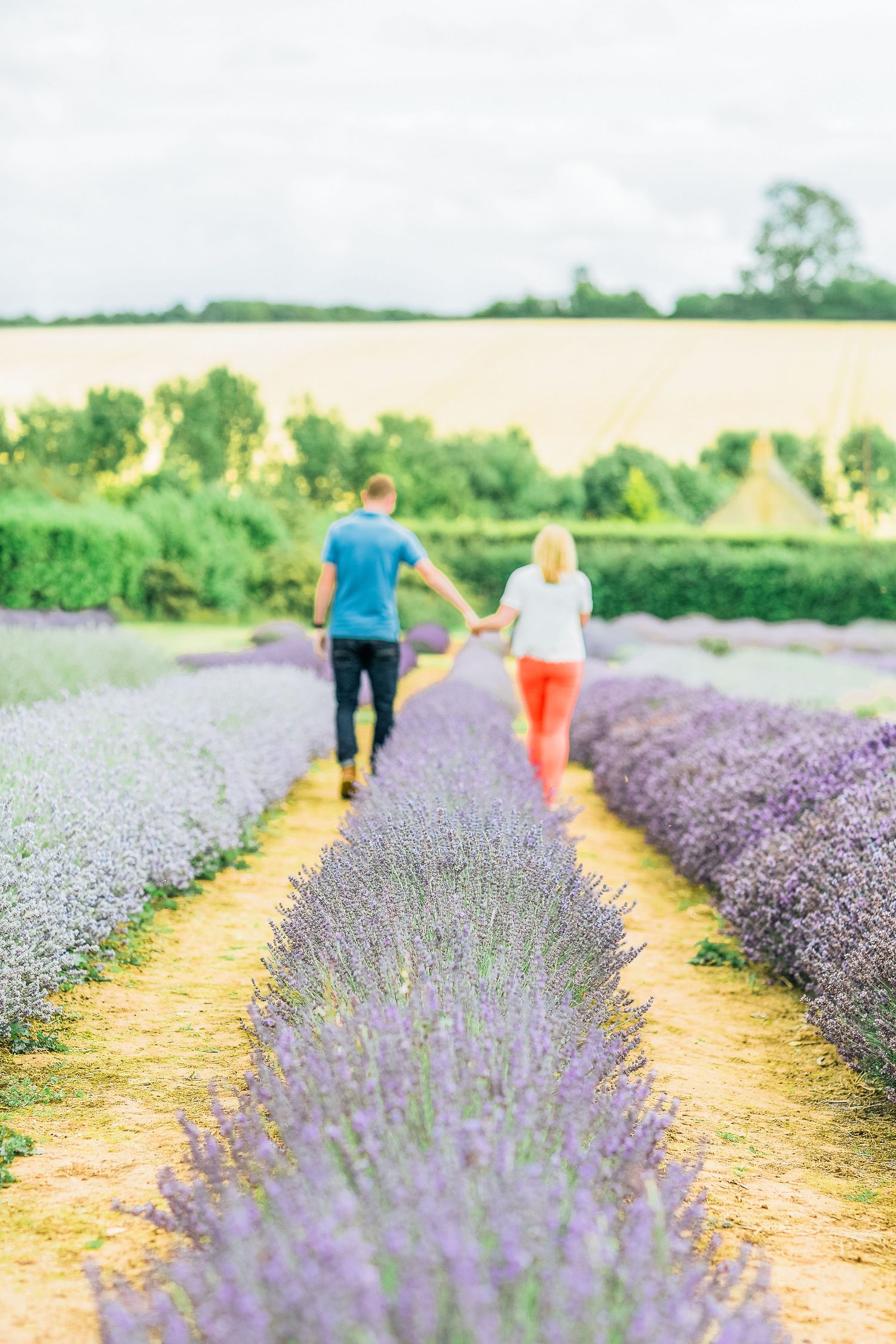 Hayley Elizabeth Photography Cotswolds Photographer Lavender engagement session Snowshill focus on lavender with couple