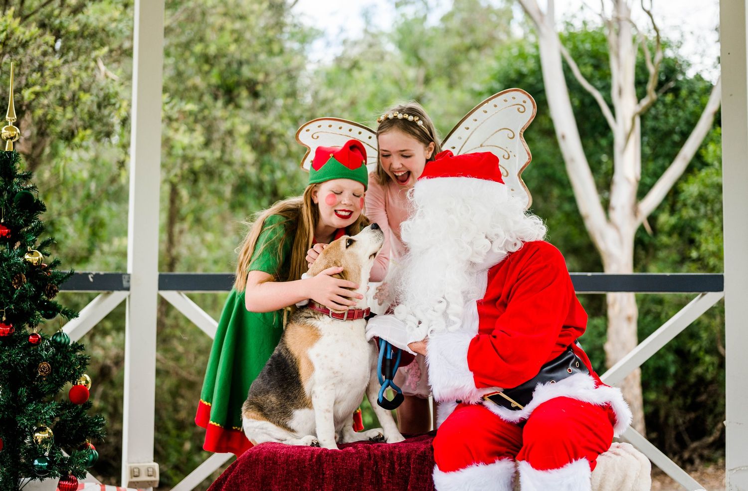 Santa Claus and helpers pose with a white dog by decorated Christmas tree outdoors.
