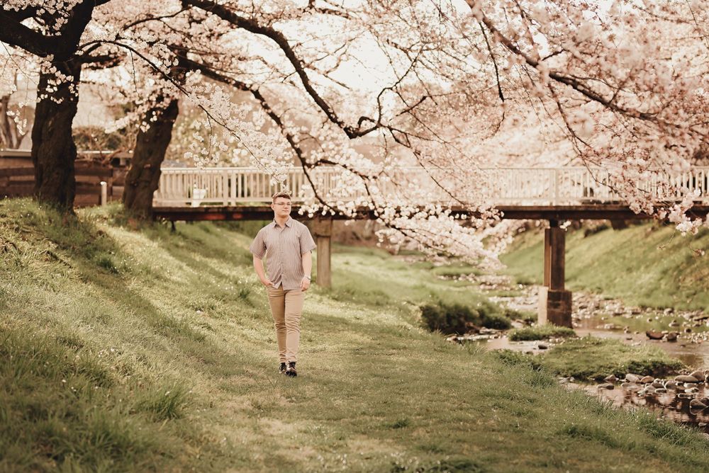 Person walking on grassy hill beneath cherry blossoms near wooden bridge.