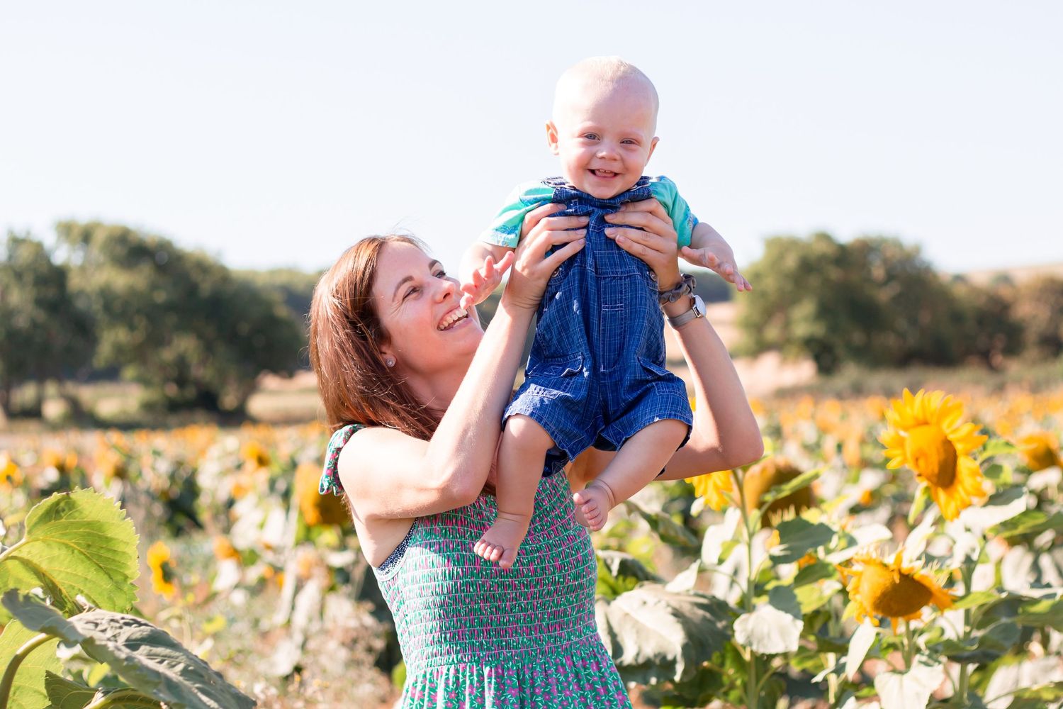 mother and young sun in a sunflower field