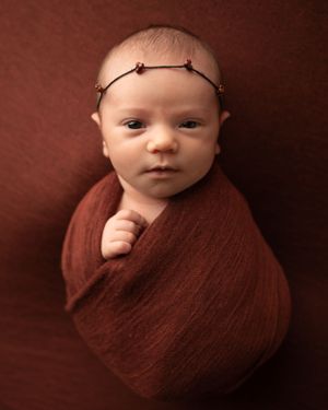 maine newborn photos