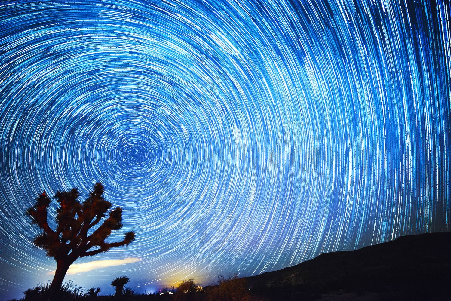 Long exposure star trails swirling over a Joshua tree in a desert nightscape.