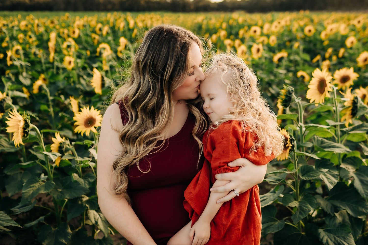 Tender moment at sunset in a vast field of blooming sunflowers in milton florida