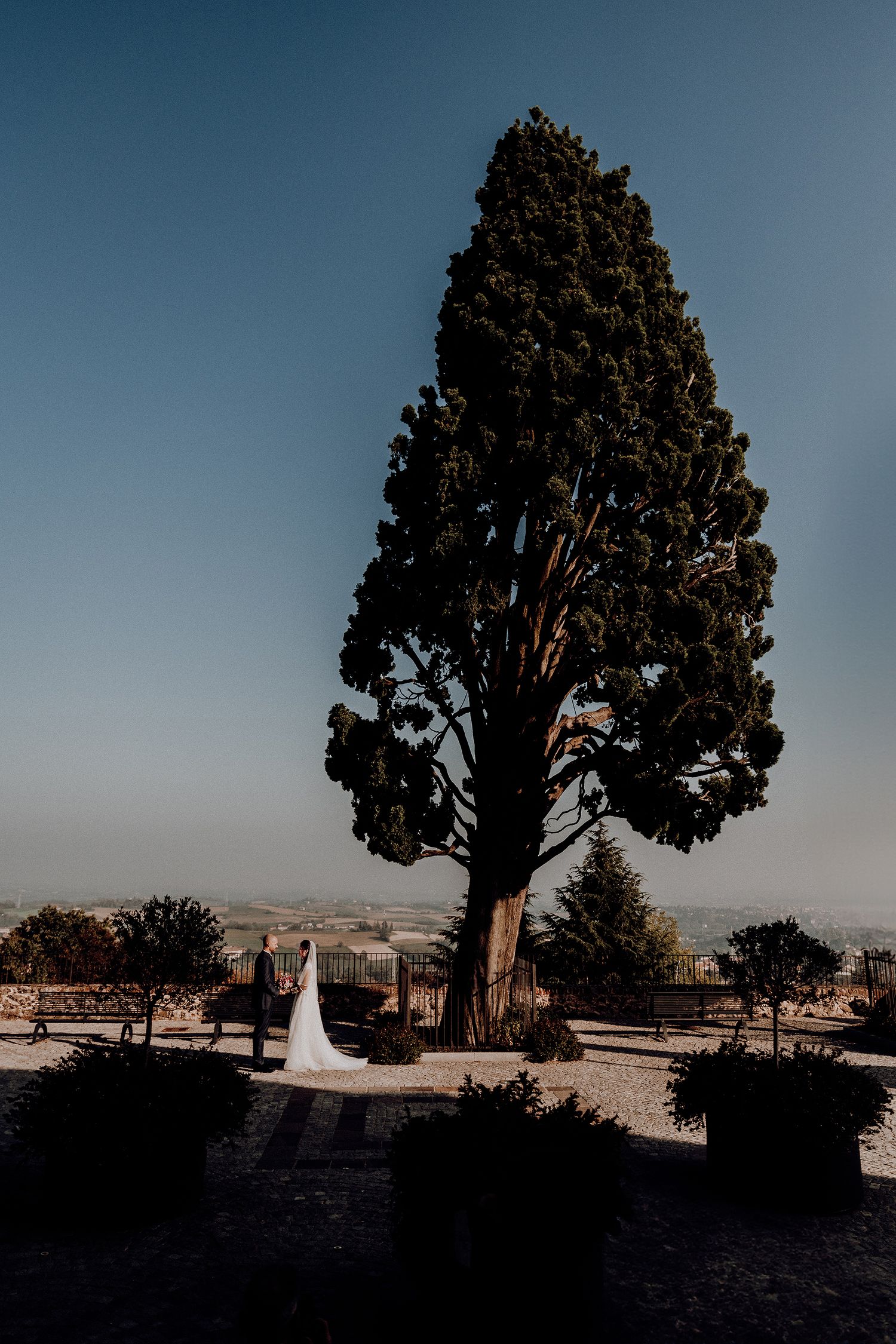 Bride and groom stand beneath a towering cypress tree with scenic countryside views.
