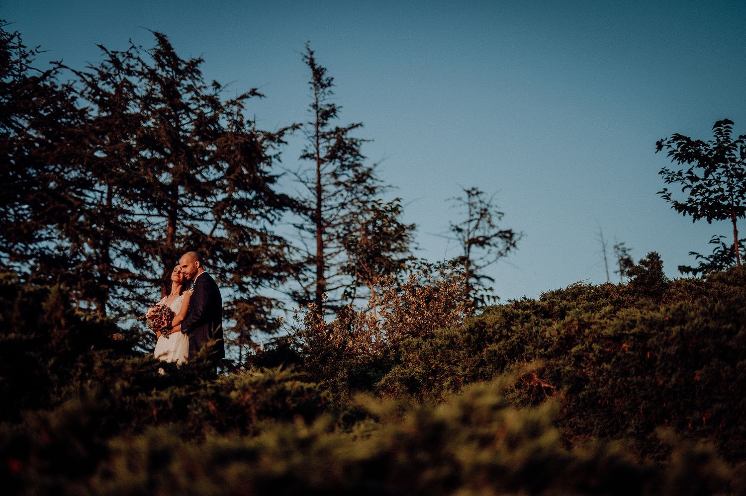 Couple embraces romantically among autumn trees under a clear blue sky at golden hour.