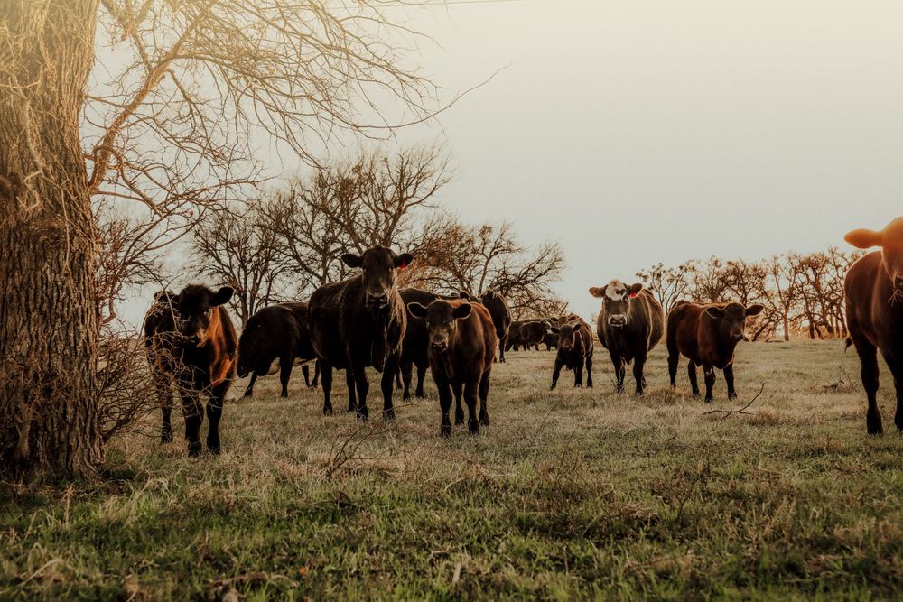 Granbury, Texas