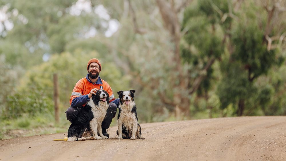 A person in an orange jacket sits on a dirt road with two dogs outdoors on a sunny day.