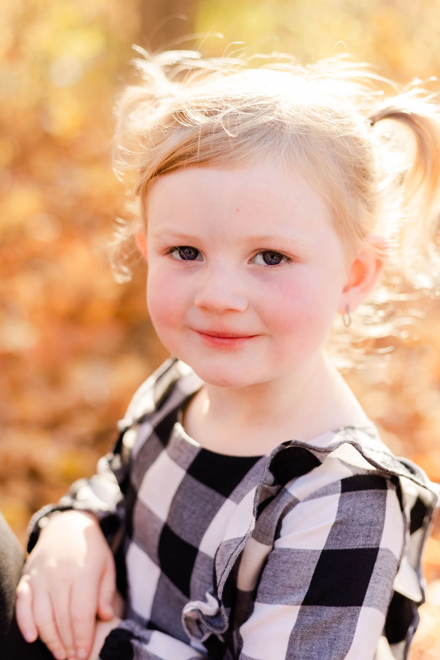 outdoor fall family session/mom and me/flushing county park/flushing mi