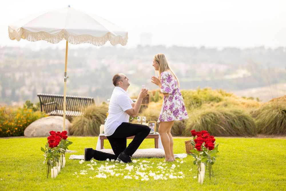 A proposal scene on a hilltop with white parasol, red roses, and scattered petals creating a romantic setting.