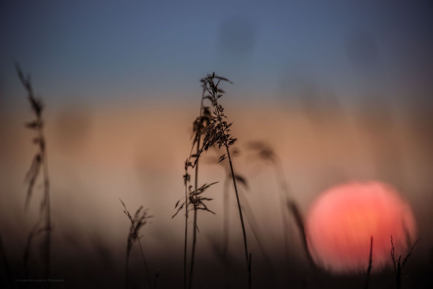 Summer night Red sunset