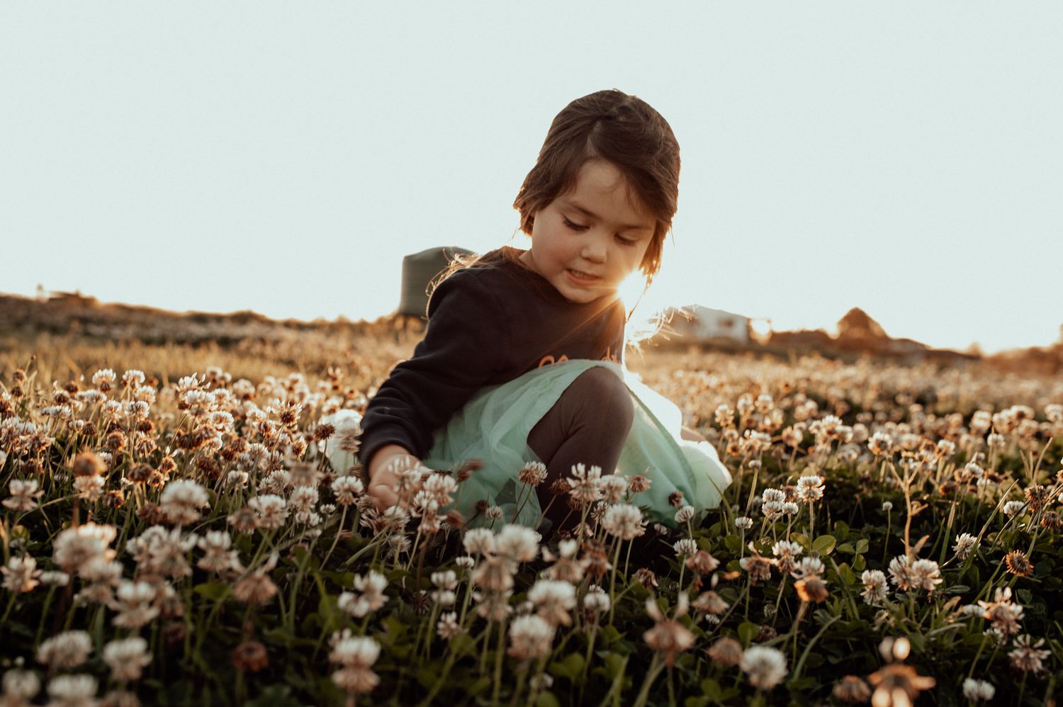 Isla playing in the clover at her grandfathers farm