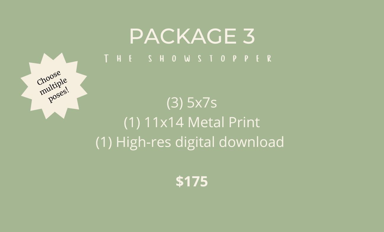 Premium photo package pricing with metal prints and digital downloads on green background.