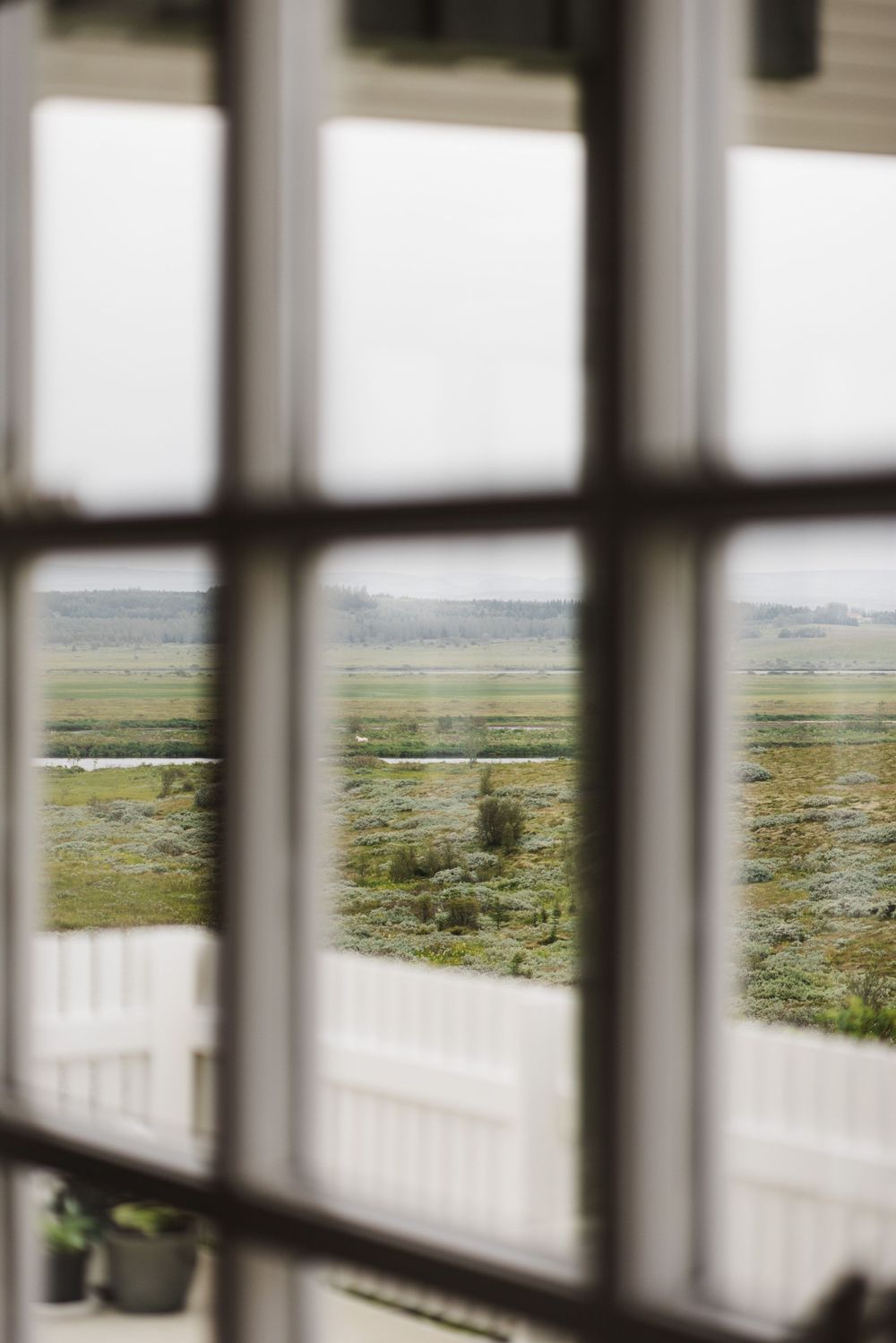 Scenic marshland viewed through a windowpane with white trim framing the natural landscape.