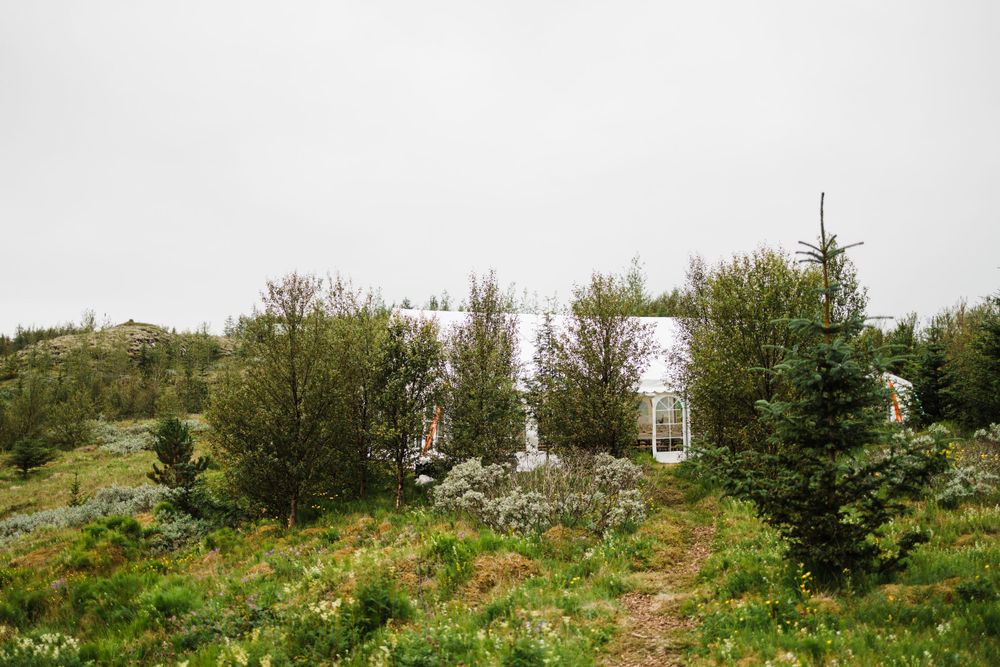White church or chapel building nestled among green foliage on a hill.