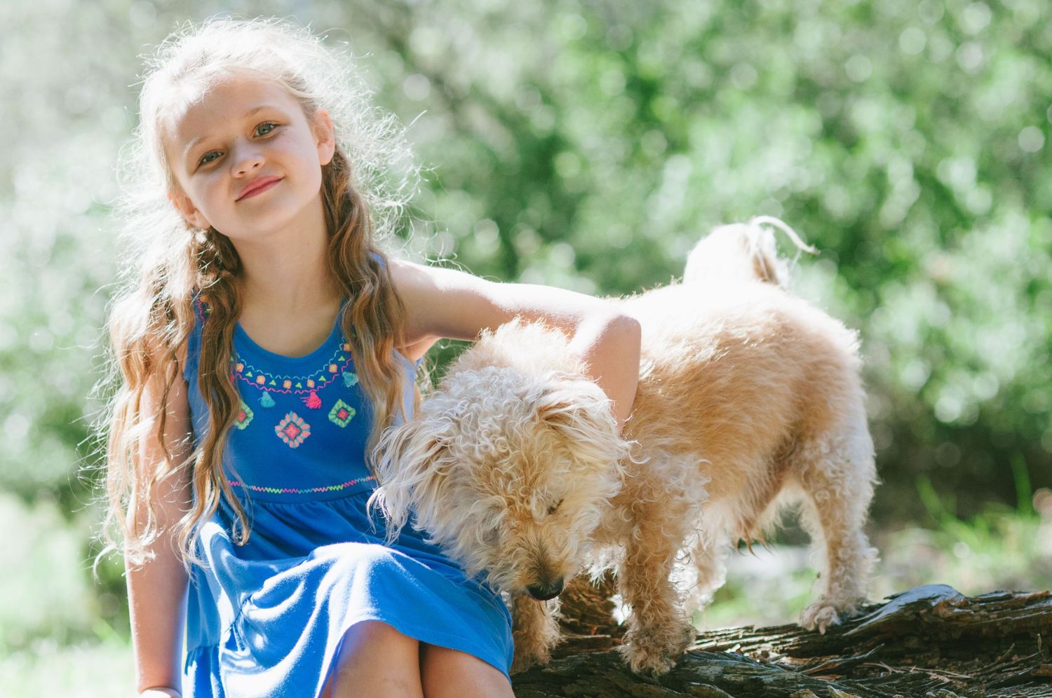 family and pet photographer cape town