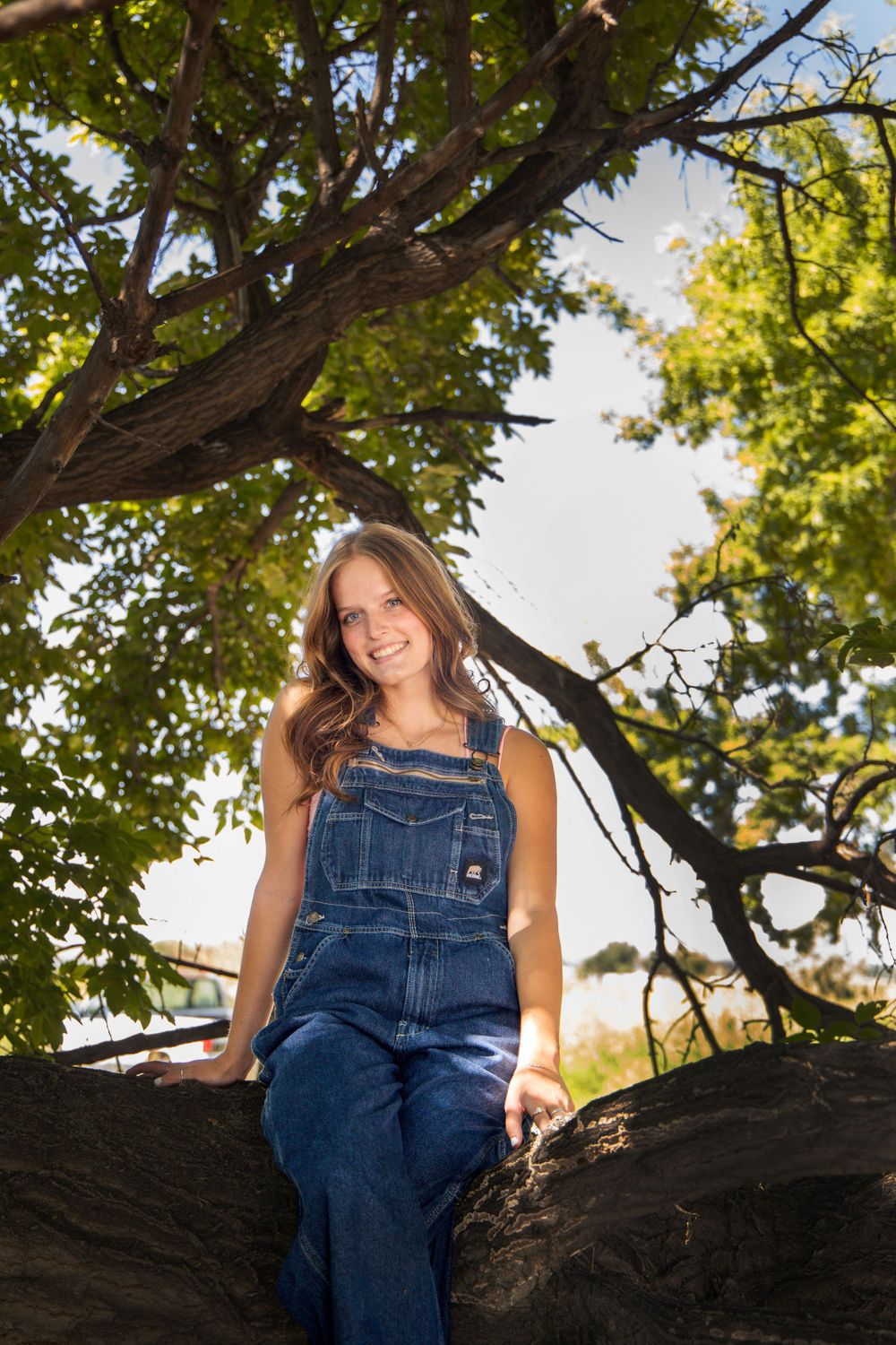 Woman in denim overalls sits on a large tree branch during sunset.