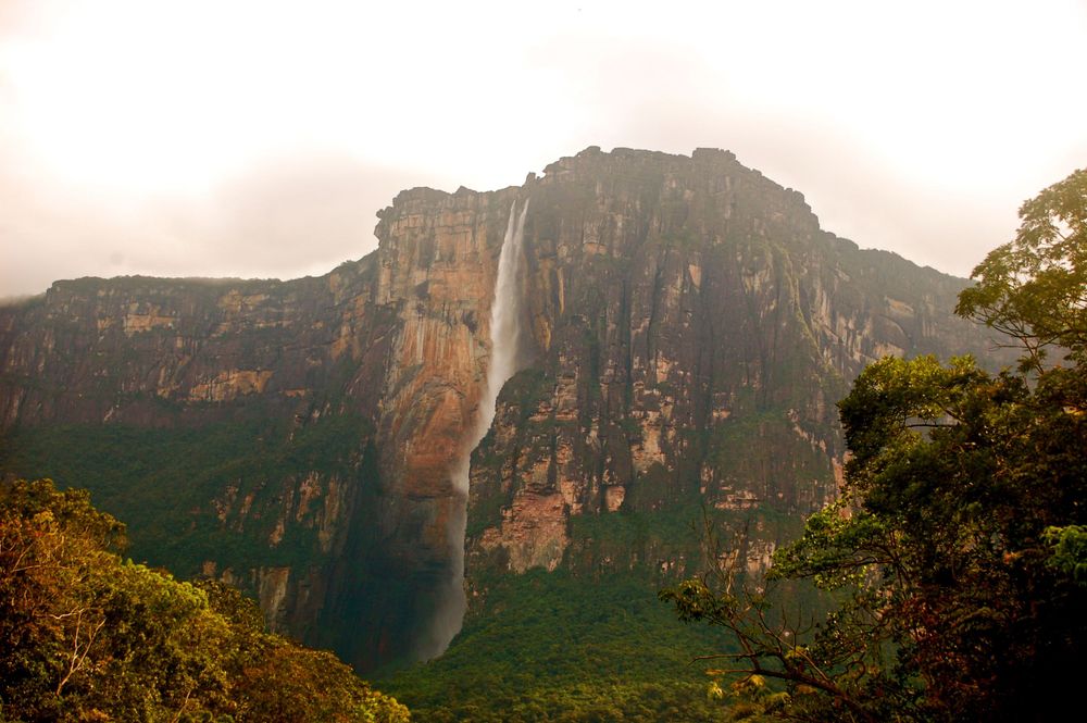 Angel Falls cascades down enormous cliff face in Venezuelan tepui landscape.