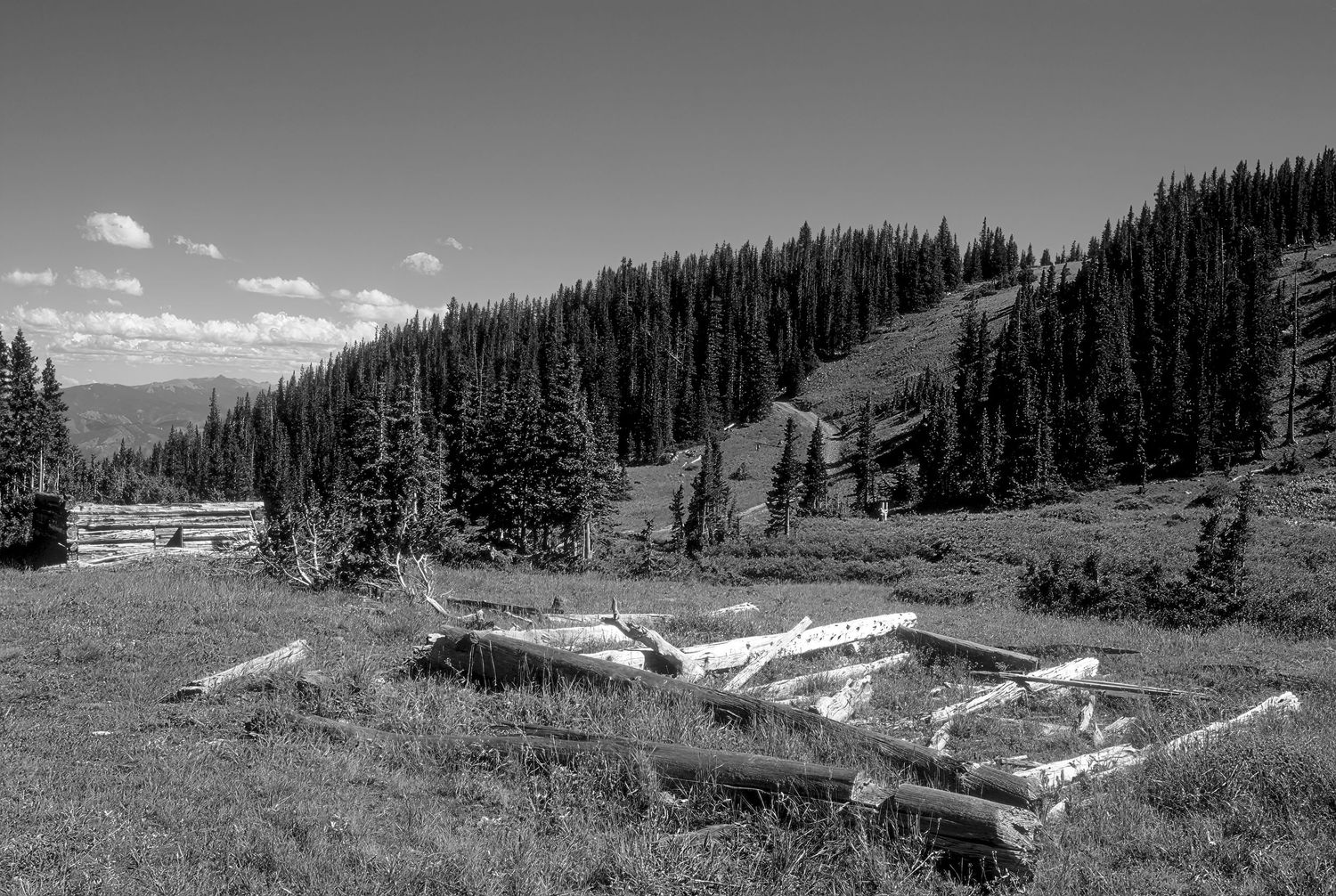 Cree's Camp, Colorado
