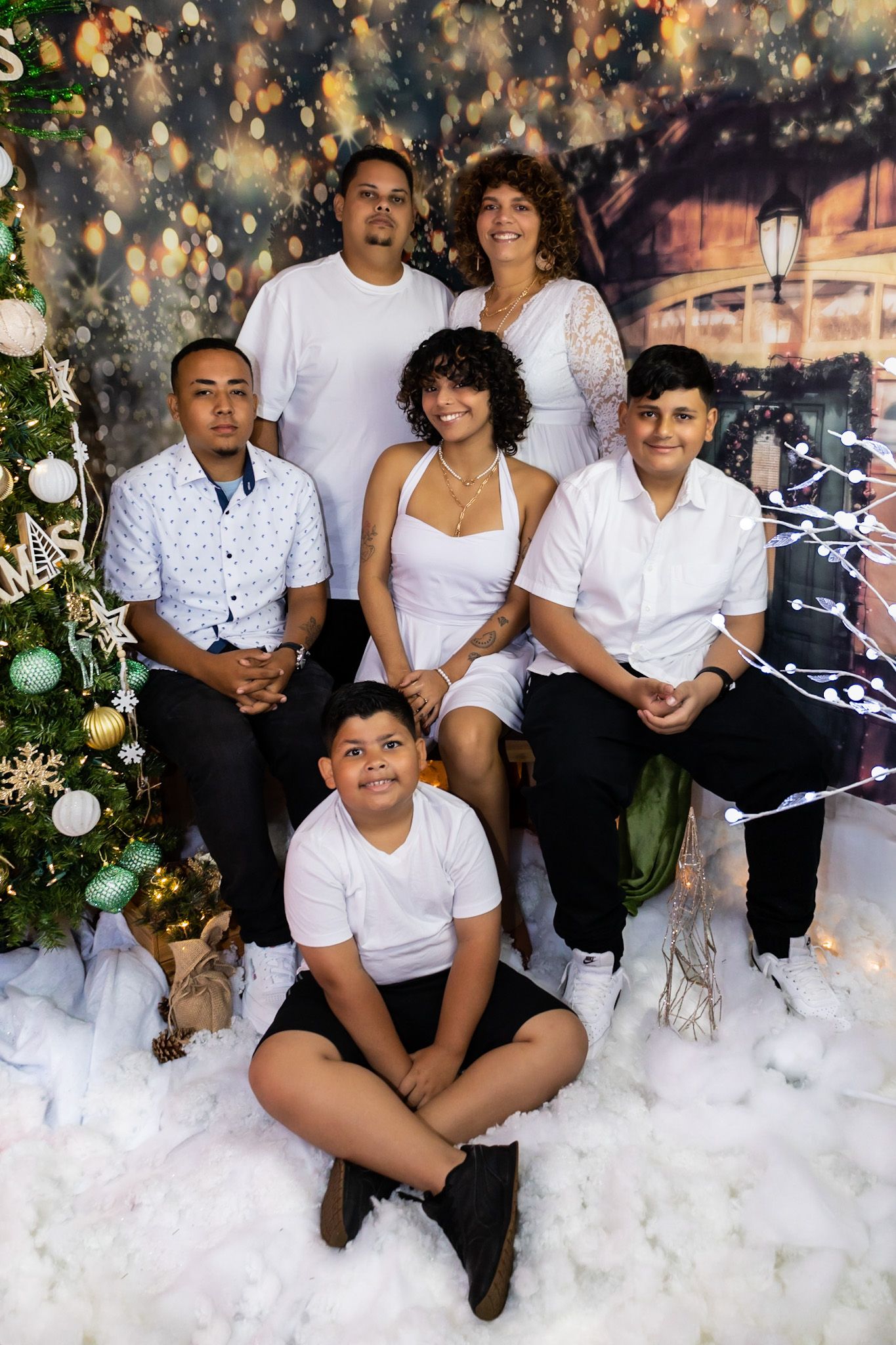 Fotos Temporada - Navidad