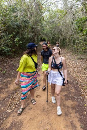 Hikers walking on a dirt trail through lush forest vegetation on a sunny day.