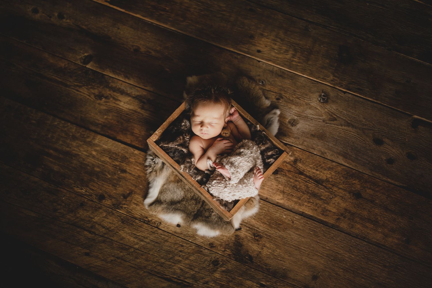 Calgary Newborn Photographer