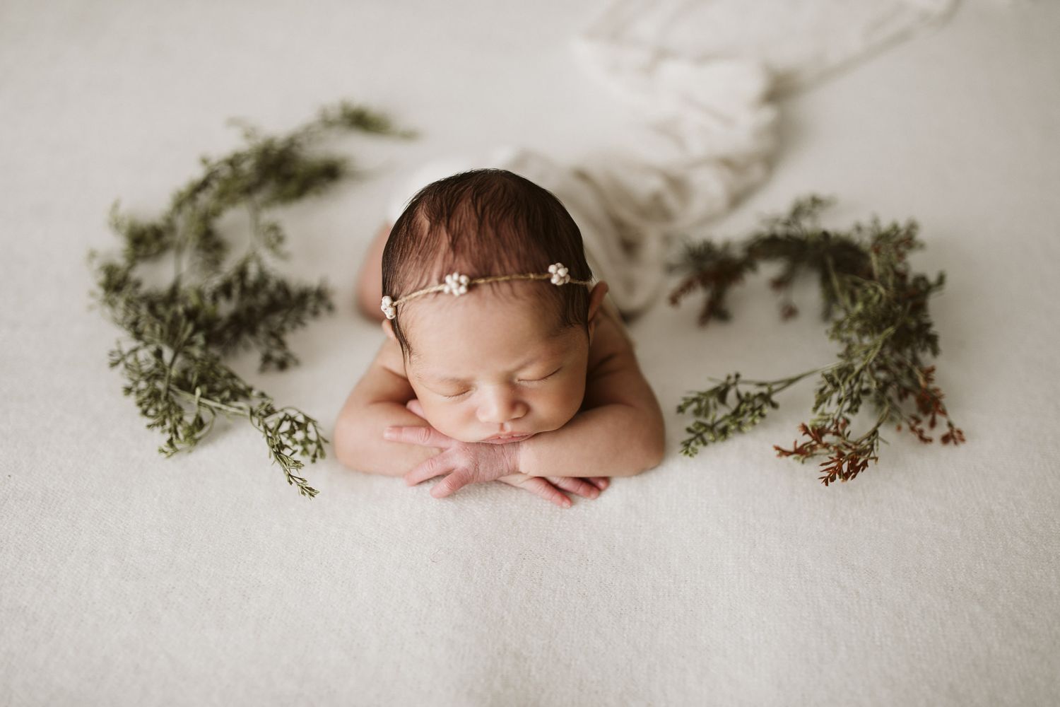 Calgary Newborn Photographer