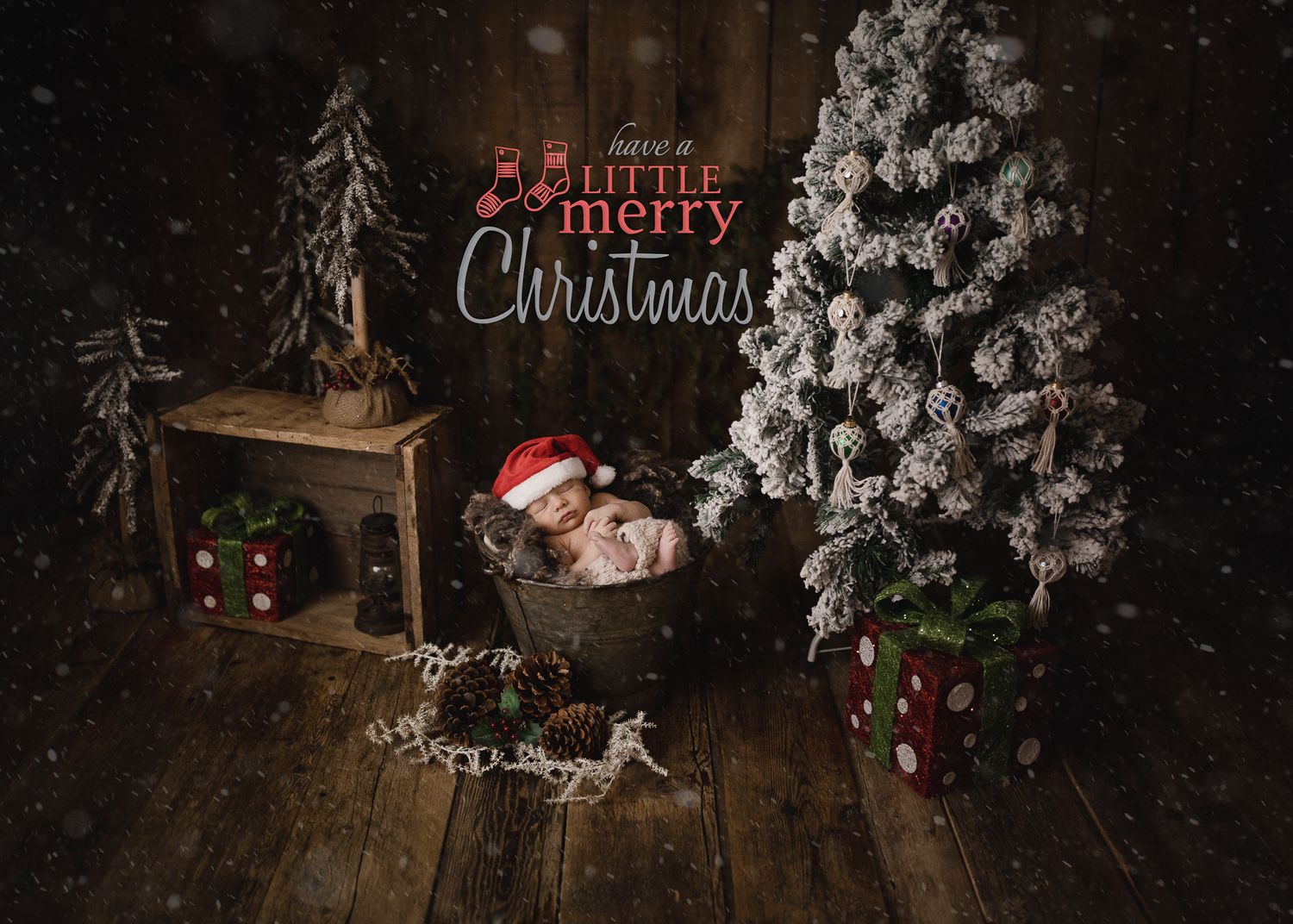 Calgary Newborn Photographer