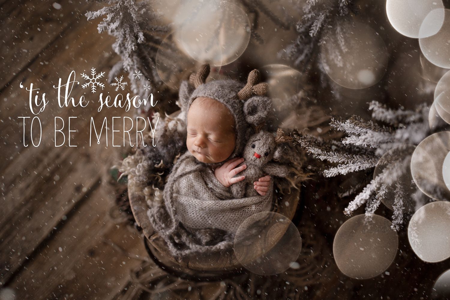 Newborn Photography