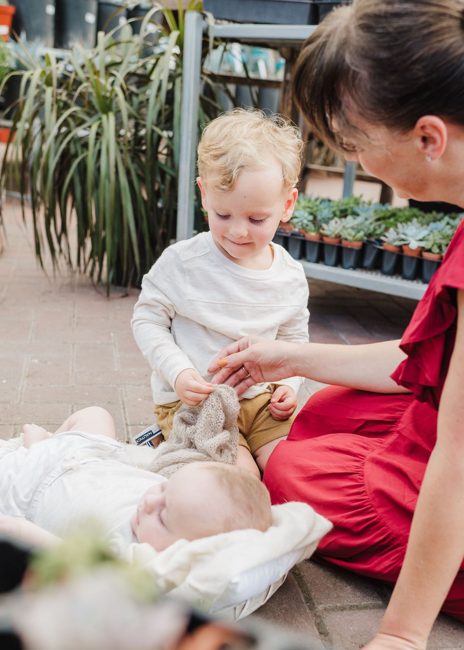two year old boy looking at his baby brother sleeping at the greenhouse at buchanan's native plant during a photoshoot