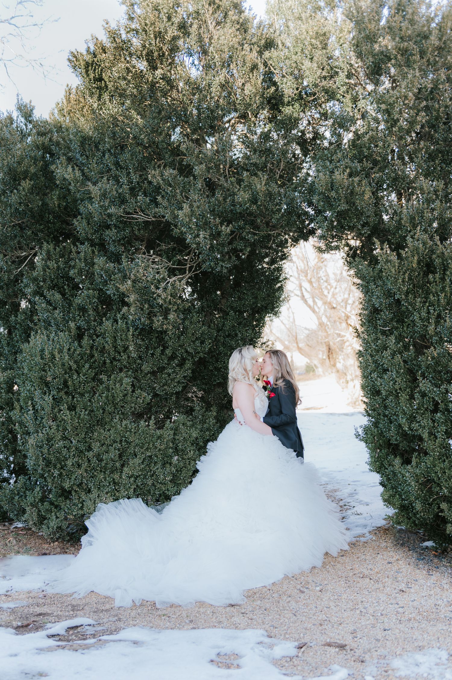 Wedding couple embracing among evergreen trees in winter with bride wearing puffy ballgown.