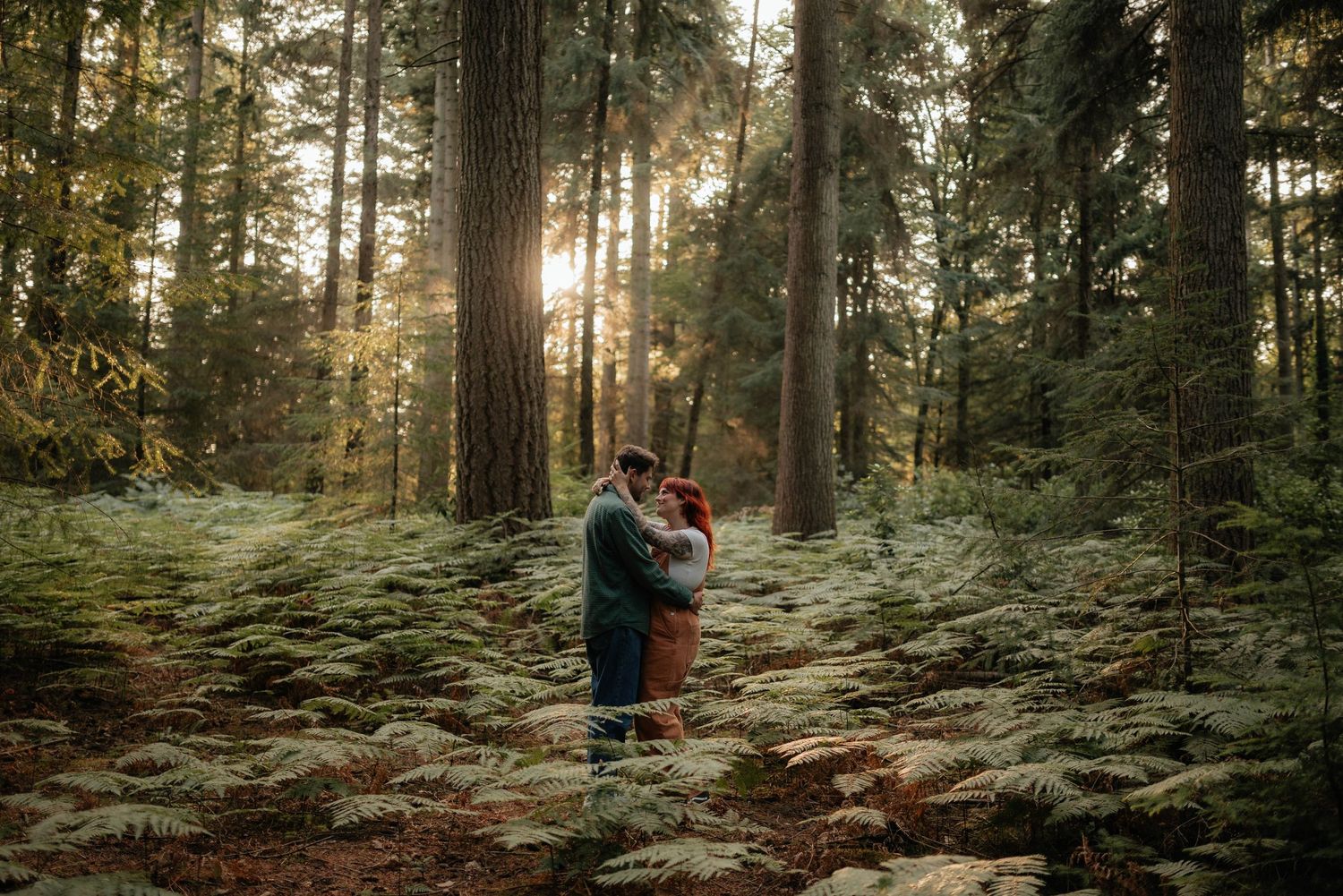 A couple embraces among tall ferns in a sunlit forest with towering evergreen trees.
