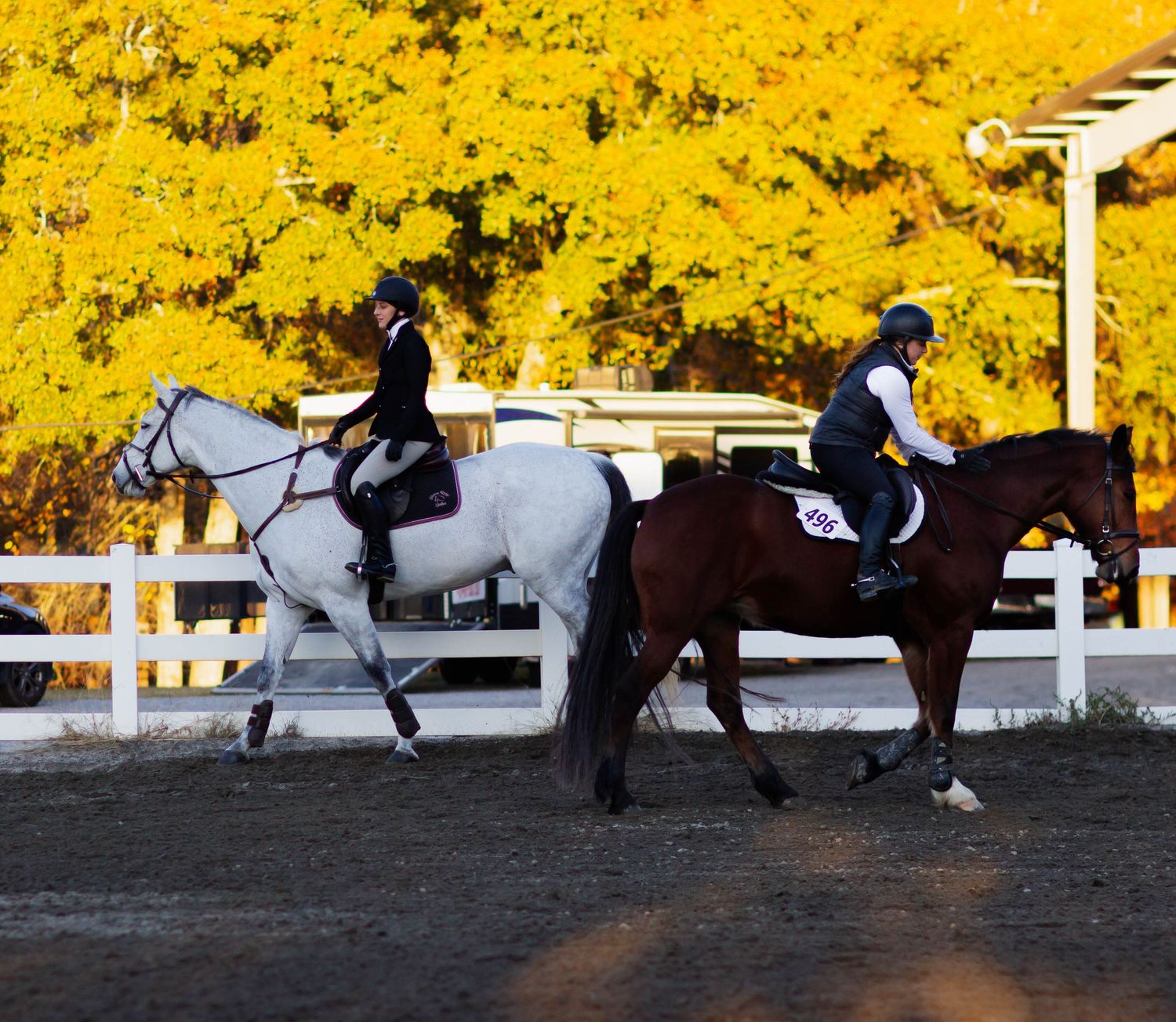 Back horse riding pair of horses going away from each other brown and white. yellow leaves background. female jockeys