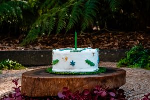 Simple white birthday cake with a number 2 candle placed on a rustic wooden surface outdoors.
