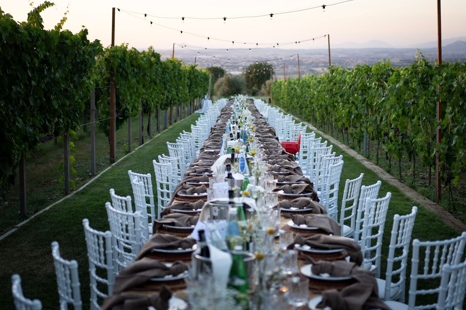 Long rustic dining table set up between vineyard rows with string lights overhead.