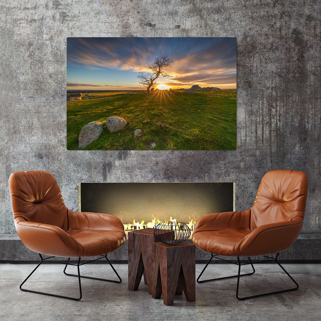 Sunburst through lone tree at sunset displayed in modern living room with leather chairs.