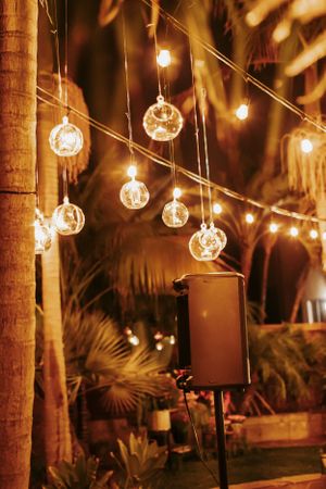 Glowing glass orb lights hang from strings against a dark tropical palm background creating warm ambiance.