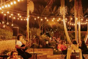 Outdoor evening party venue decorated with string lights and palm trees creating a tropical atmosphere.