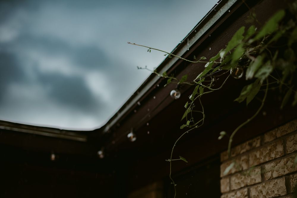Katy Montoya Photography - Kenedy, Texas Photographer - Victoria, Texas Photographer
