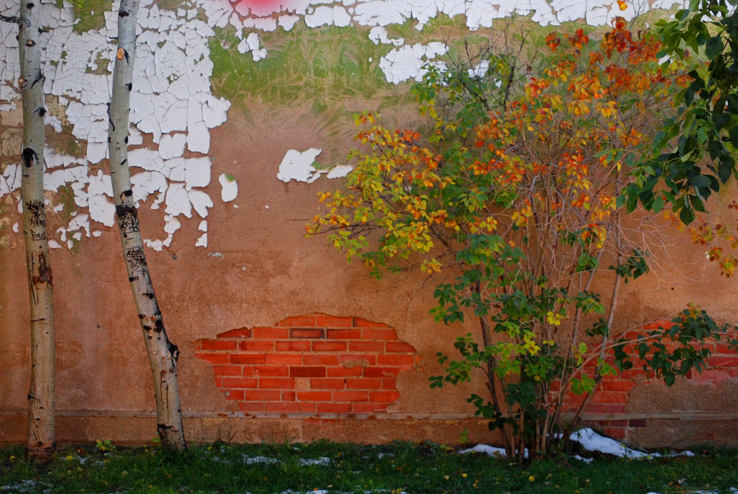 Scenic backdrop of building with trees and varied textures