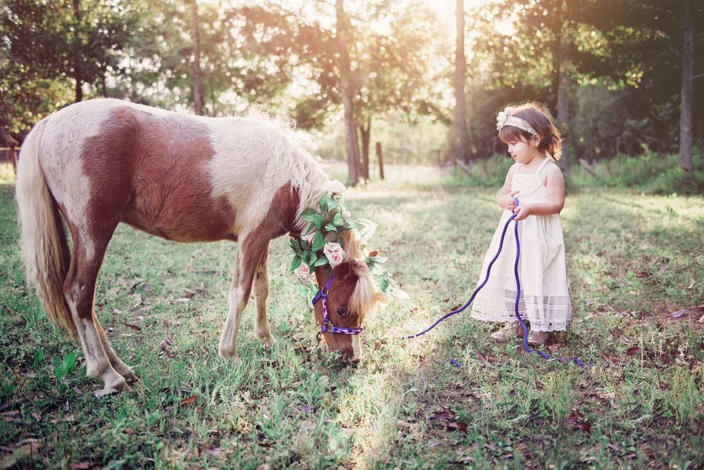 Amanda Queen Photography - Elimbah family photography