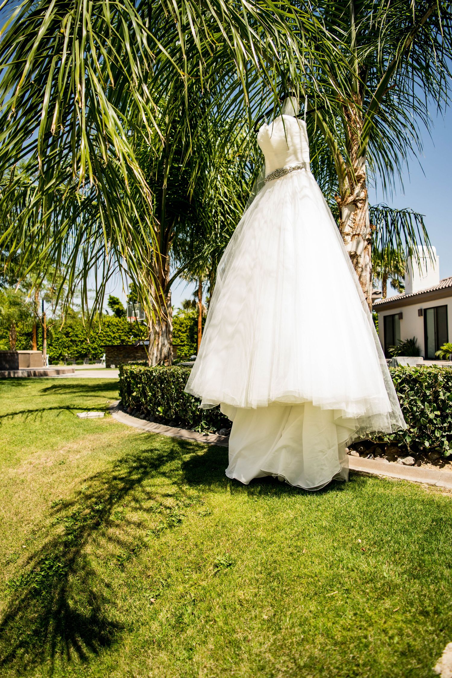 A white wedding dress hangs elegantly against tropical palm trees in a garden setting.