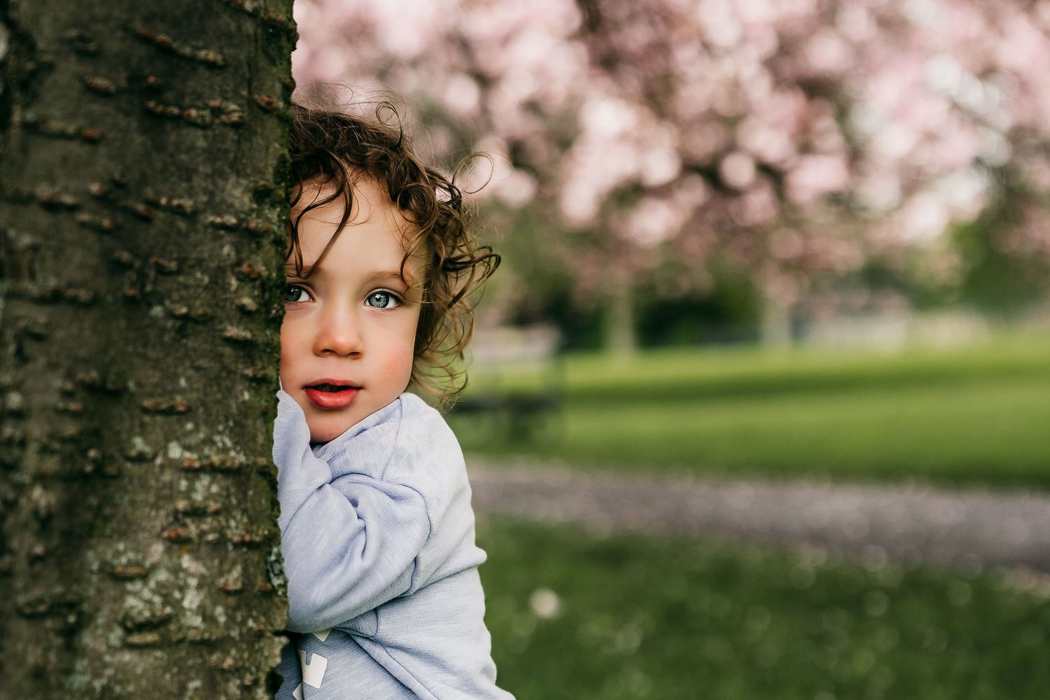 Harrogate Family Photographer