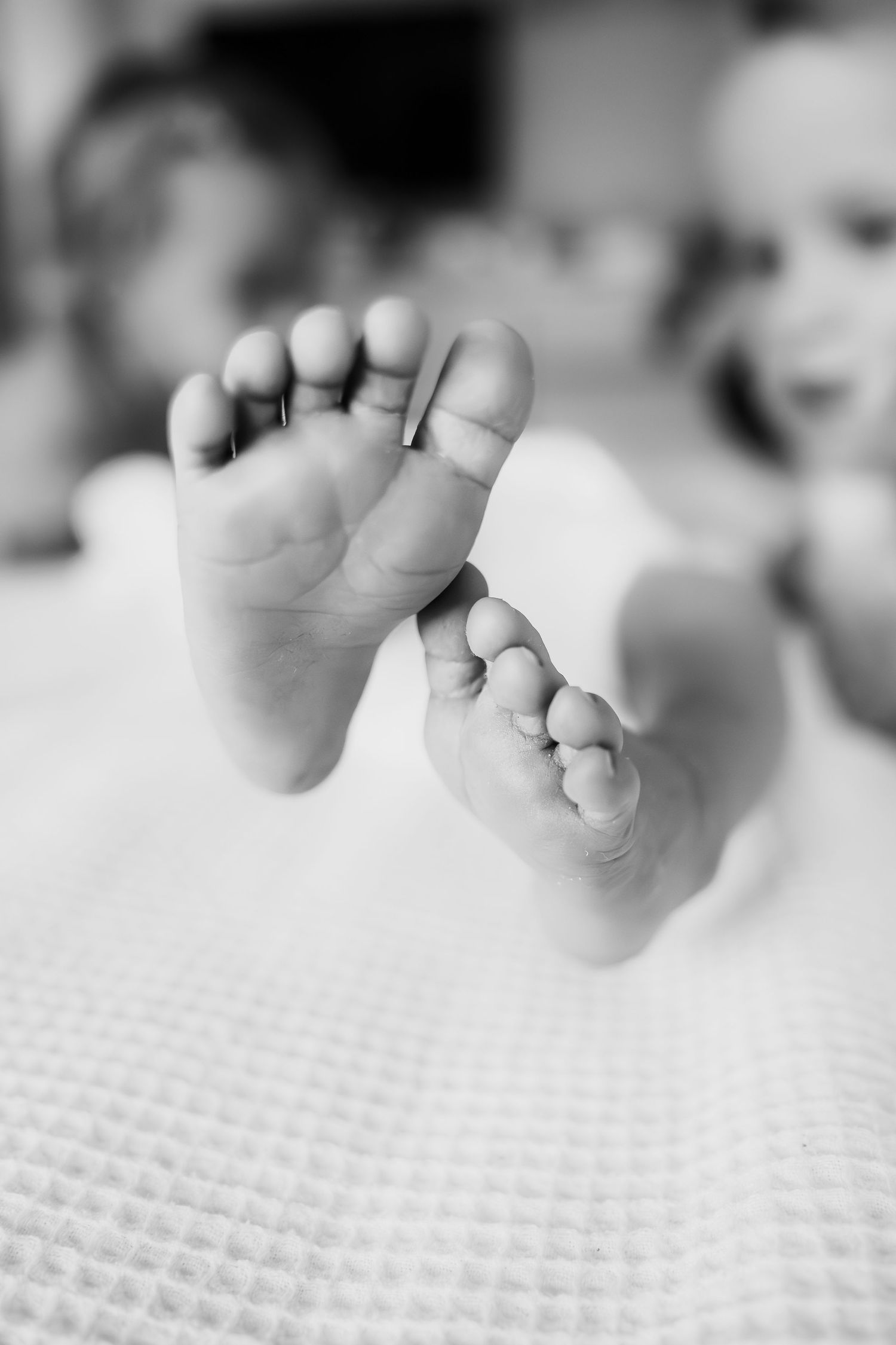 Harrogate Family Photographer