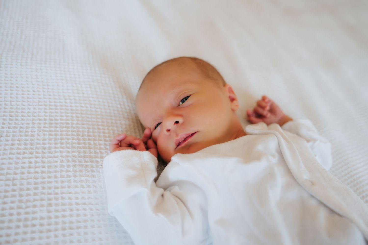 Harrogate Family Photographer