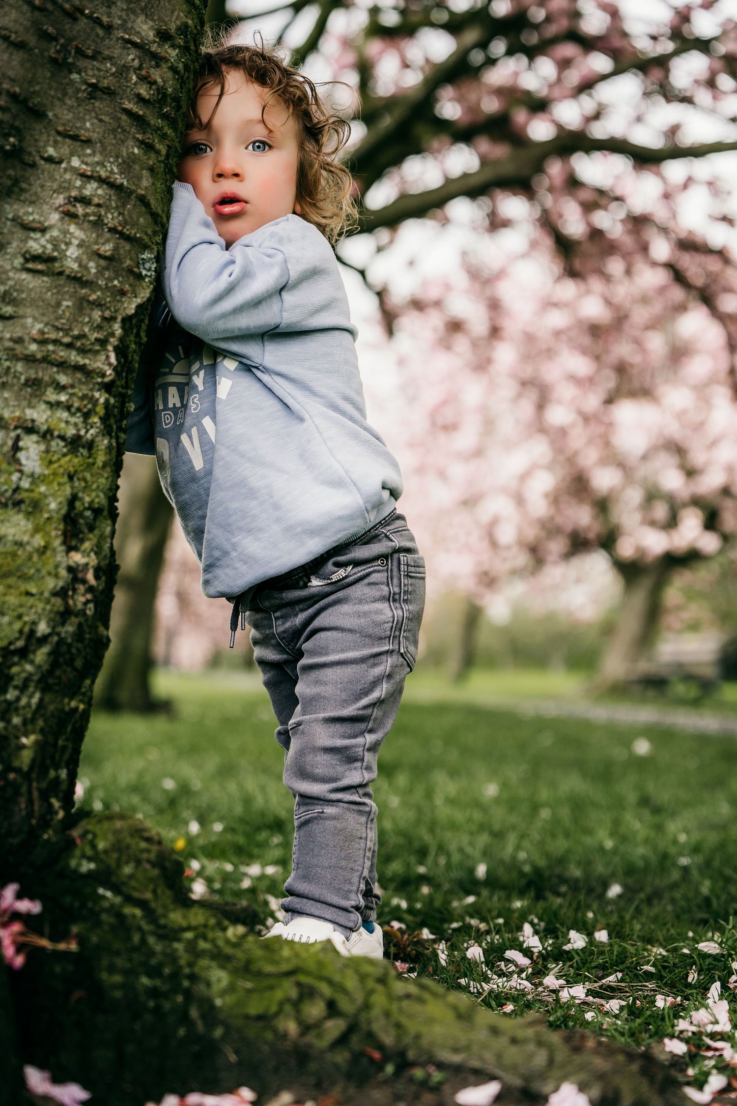 Harrogate Family Photographer