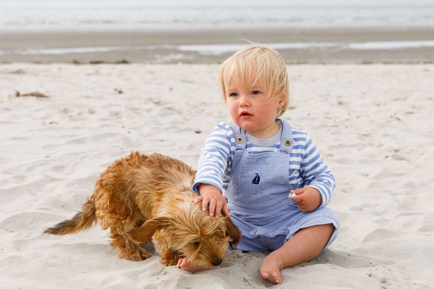 Young child in striped outfit sitting on beach sand next to a resting golden-coloured dog during a family beach photoshoot