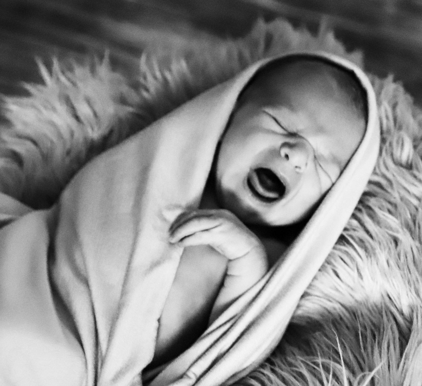 Newborn